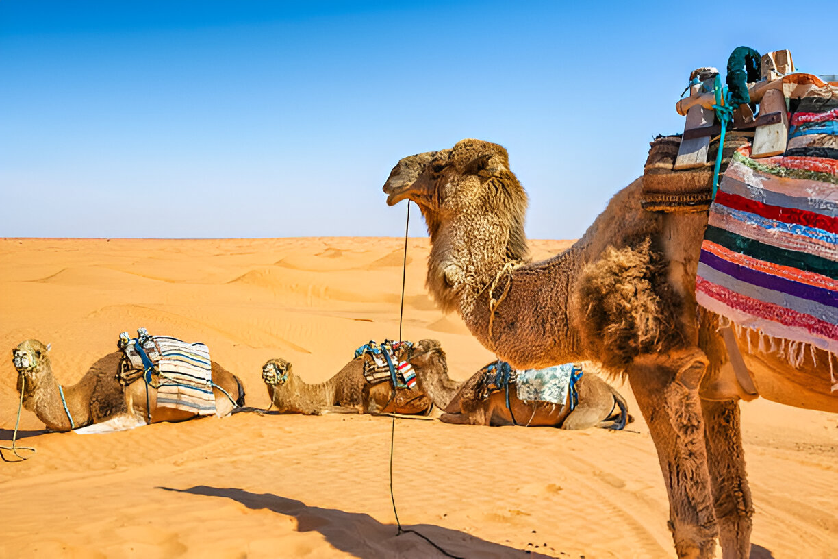A Journey from Djerba to Douz via  Matmata