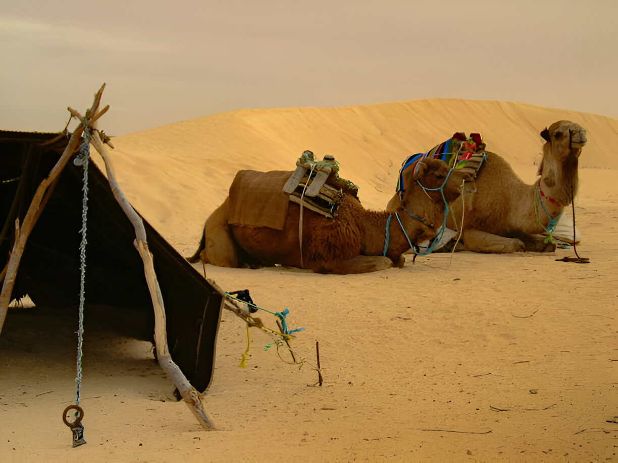 05 days Tunisia Desert Adventure